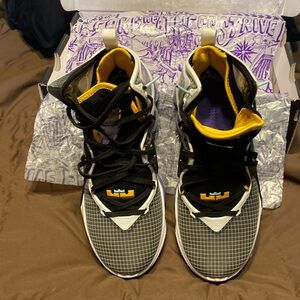 New in Box Air Nike LeBron XIX Basketball Shoes. Size 8